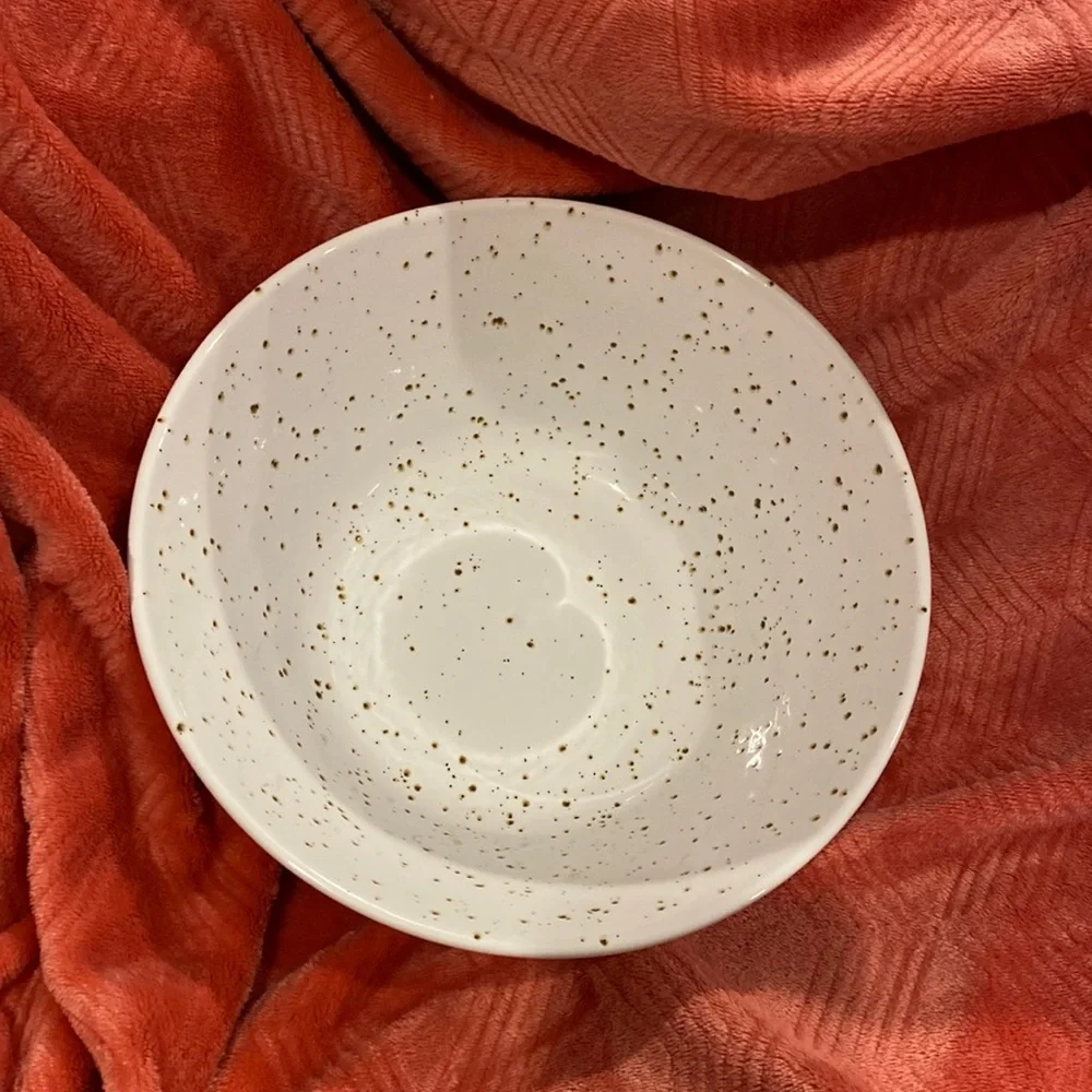 Retired Crate&Barrel Speckled Glazed Serving Bowl